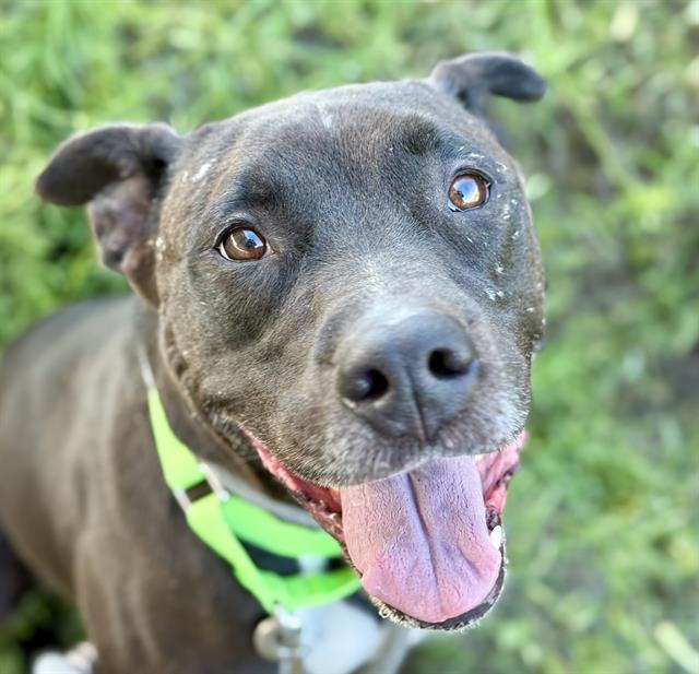 Photo of CHICO